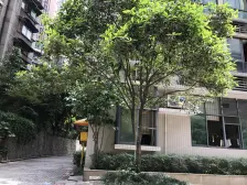 杨家坪商圈 精装修一室一厅户型 出行方便 配套齐全