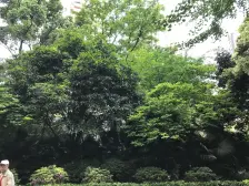 杨家坪旁,出行方便,户型好,楼层好