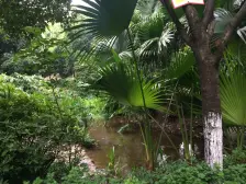 石桥铺,带露台的精装三房,随时看房,欢迎咨询