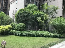 九龙坡 保利花半里二期 2室2厅 81.82㎡ 110万