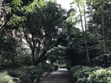 直港 金都香榭三房