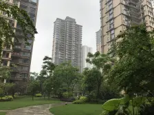 精装拎包入住 ,楼层好,视野好,装修保养好 户型方正