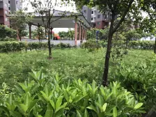 轻轨大堰村 正规二房 看房有钥匙方便