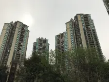 杨家坪 恒大绿洲四房162万