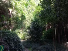 精装三室轻轨房,价格美丽,拎包入住