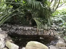 直港 金都香榭三房100万