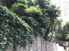 杨家坪万象城双商圈正规两房,交通便捷,配套完善