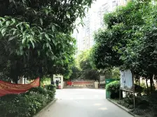 石坪桥 同创鸥翔云湖郡三房59万