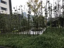 巴国龙庭 1室1厅 南 北