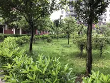 筑锦尚堰清水两房 看房方便 中间楼层 采光好
