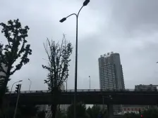 新牌坊北 四号线嘉州路站 佳乐紫光 住宅性质