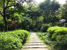 小区位置好住家安静,小区人车分流,小区环境好!