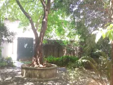 黄泥磅 森柯一馨园二房65万