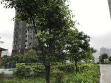 毛线沟 筑锦尚堰二房68万