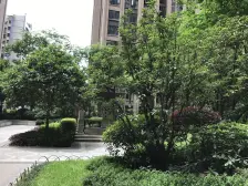 杨家坪 保利花半里三期(蔷薇园)二房137万