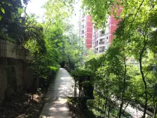 通透格局,视野开阔楼层好,采光充足,配套齐全