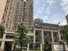 杨家坪 正规一房 户型方正 轻轨商圈旁