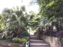 南方新城西苑 正规大两房双卫 出行购物方便