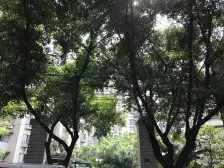 斌鑫新华苑一期 3室2厅 北