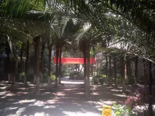 轻轨黄泥磅 金玉满堂 全新装修3房 密码锁