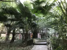 上江城 正规顶跃 全江景视野 诚心急售