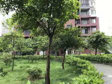 毛线沟 筑锦尚堰三房75万