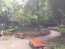 繁华地段 精装端户 近轻轨 总价低 全明格局