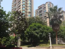 环线轻轨 锦上华庭 清水 顶跃 视野好!