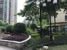 杨家坪 恒大绿洲四房192万