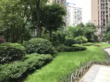 杨家坪 保利花半里三期(蔷薇园)二房85万