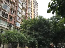 斌鑫丰泽园 5室1厅 东南