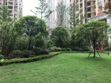 盘龙 奥园盘龙壹号巴黎苑三房78万