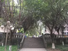 冉家坝 石油龙脊小区二房30.8万