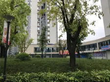 杨家坪商圈D10新希望旁 清水大两房 方正采光好 大阳台