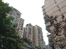 龙溪镇 新城绿园二房50万