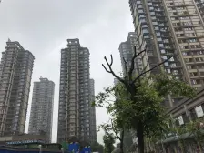 雅居乐品质 精装四房 带车位 中楼层 视野好 业主稳定