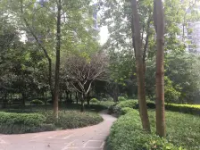 南方上格林蓝天苑 4室1厅 南