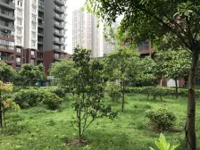 毛线沟 筑锦尚堰一房61万