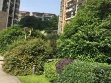 鹅岭轻轨站旁13年小区,精装大两房