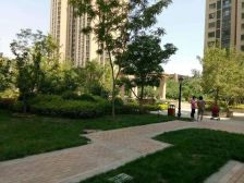 中海楼中位置 独体独户 南北通透 四室两厅三卫