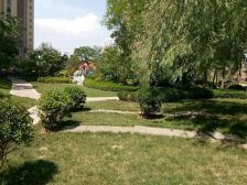 吾悦广场旁凯旋门四室两厅三卫 全明户型