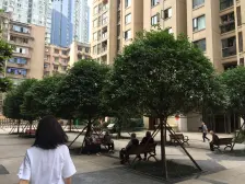大坪商圈,双轻轨次新盘,配套设施齐全,户型很好