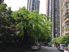 一线看江,视野开阔住进去就心旷神怡