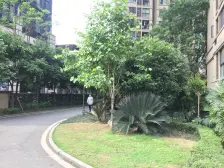 大坪 康德国际三房180万