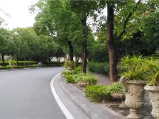 独栋房子草地占地两亩带百平米游泳池