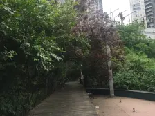 正规两室一厅,中间楼层,独栋,清水房