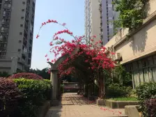 高新区 渝洲新城二房68万