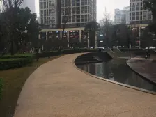 龙湖时代天街 1室1厅 西南