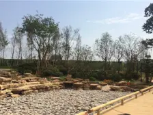 地下室全采光的下叠 已做全屋现浇土建 价格还可以少
