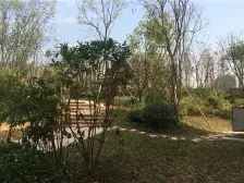 龙洲湾 荣盛锦绣南山B区三房72万